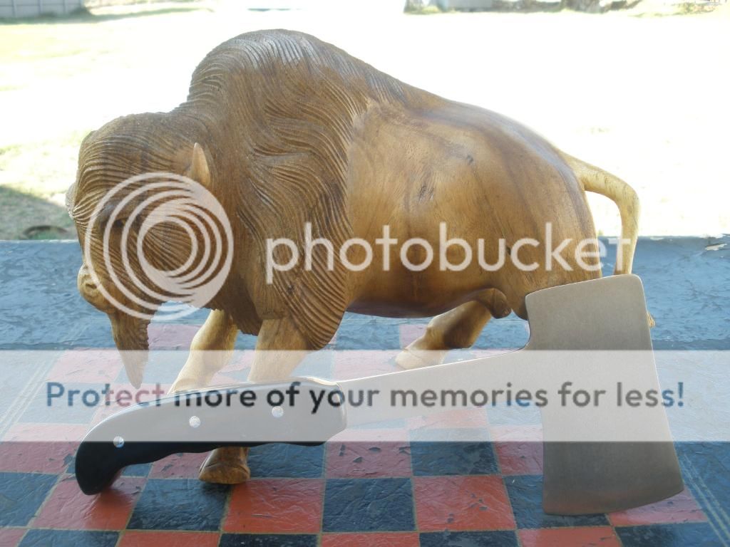 PB022010.jpg