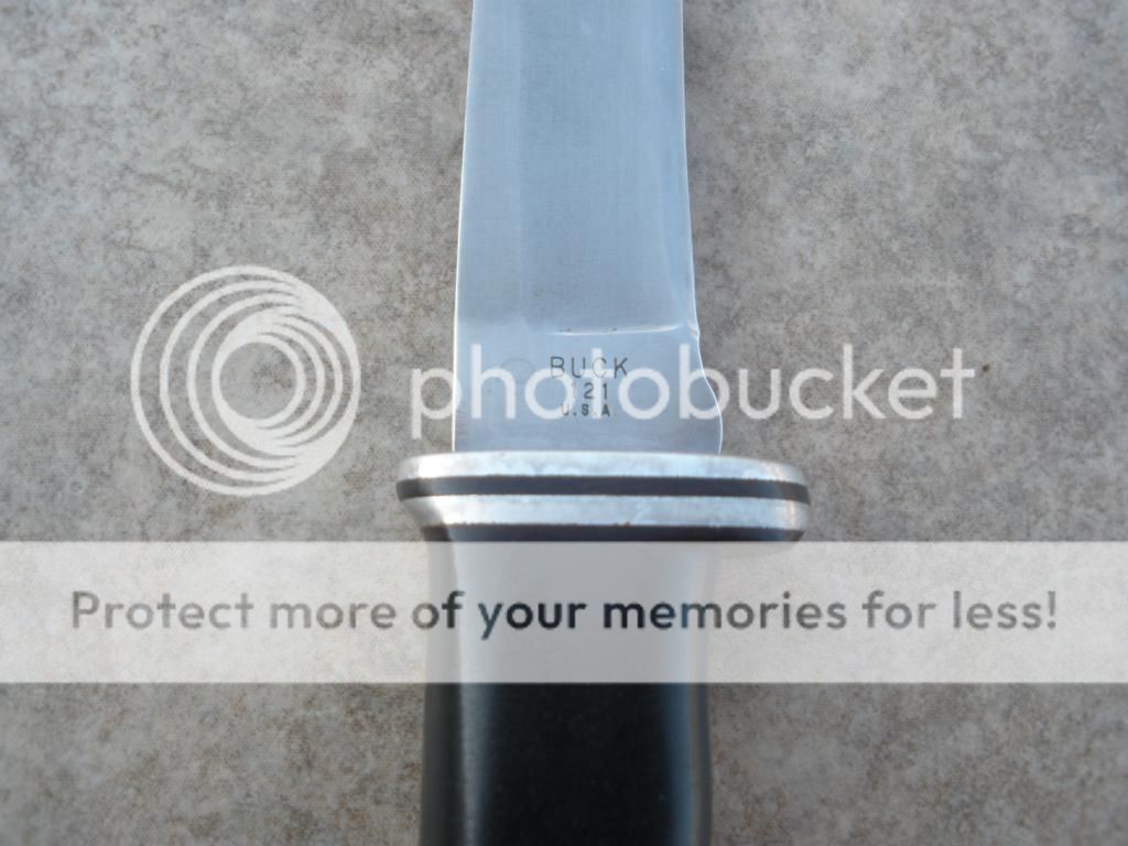 PB022021.jpg
