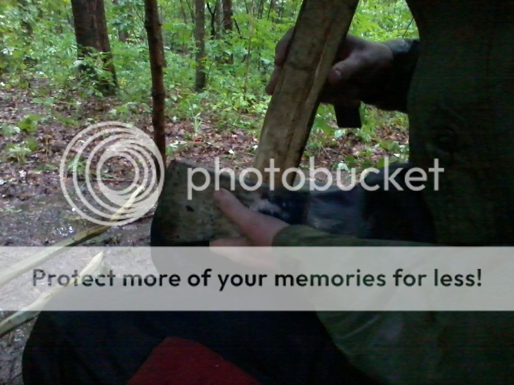 Photo0718_zpsvit4b8wg.jpg~original
