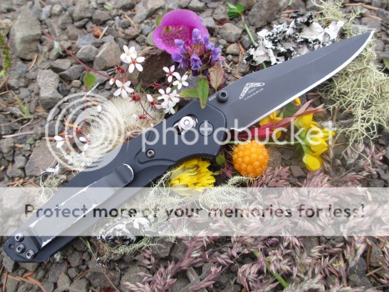 bccc2116-3041-4b7a-b63a-83720657e1ff_zpsbb41df23.jpg