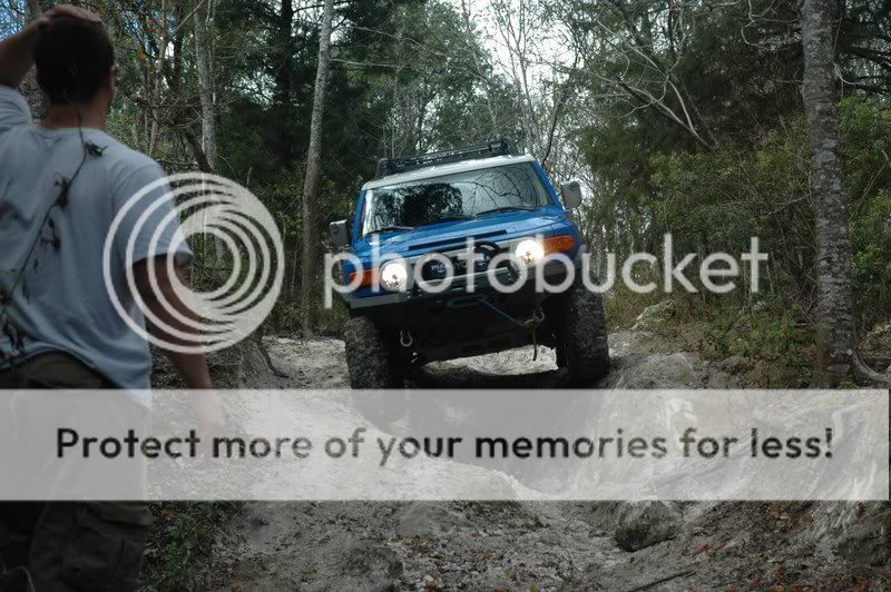 Ocala3.jpg