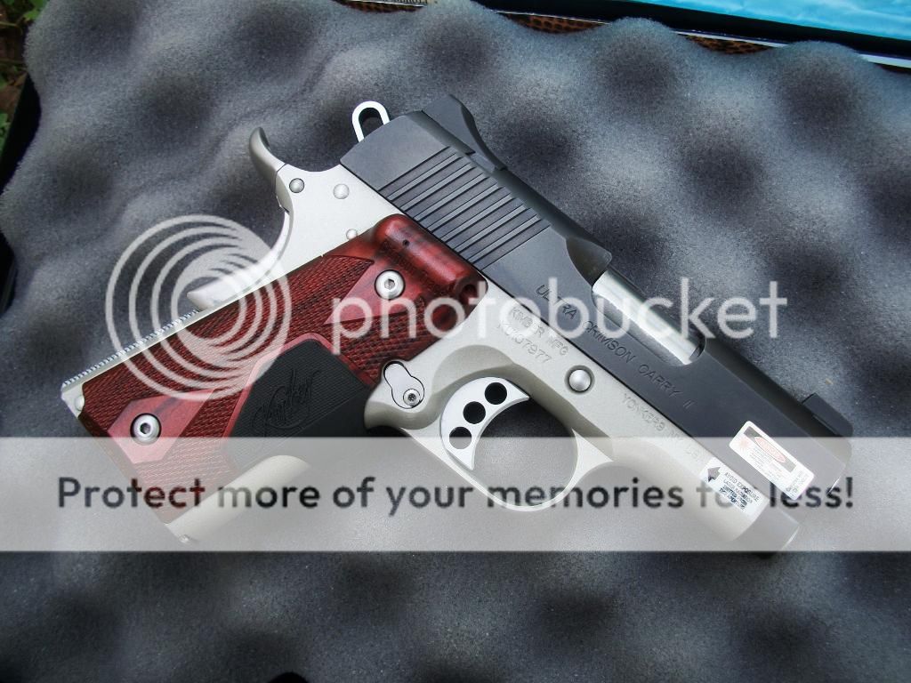 kimber008.jpg