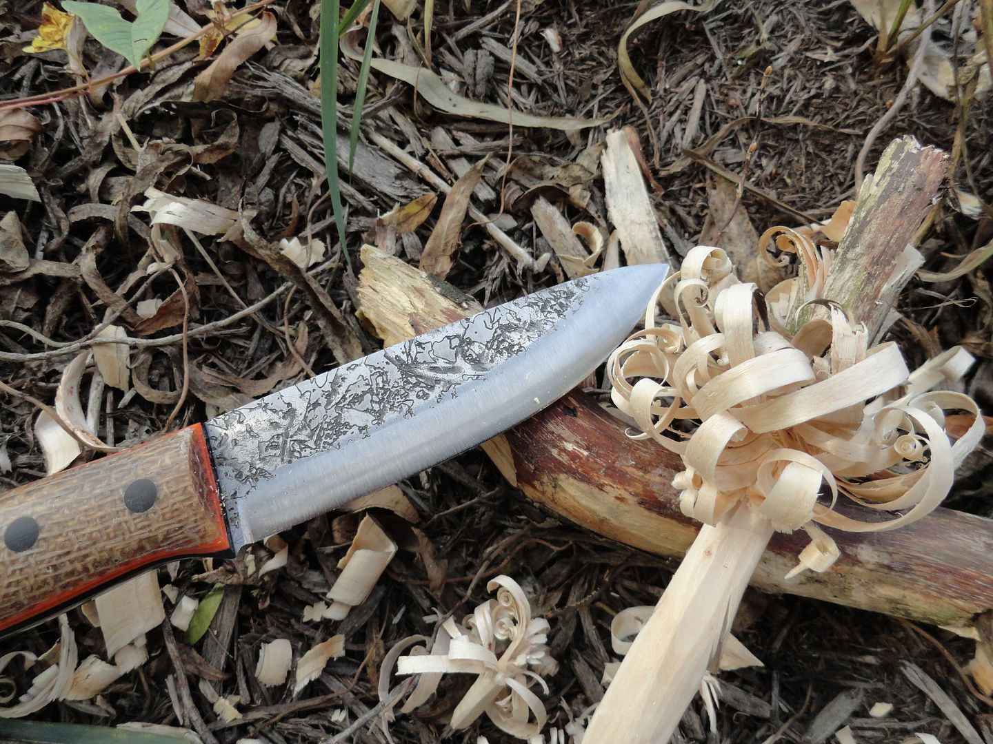 2012_0929PhotosCameraMichael0117.jpg