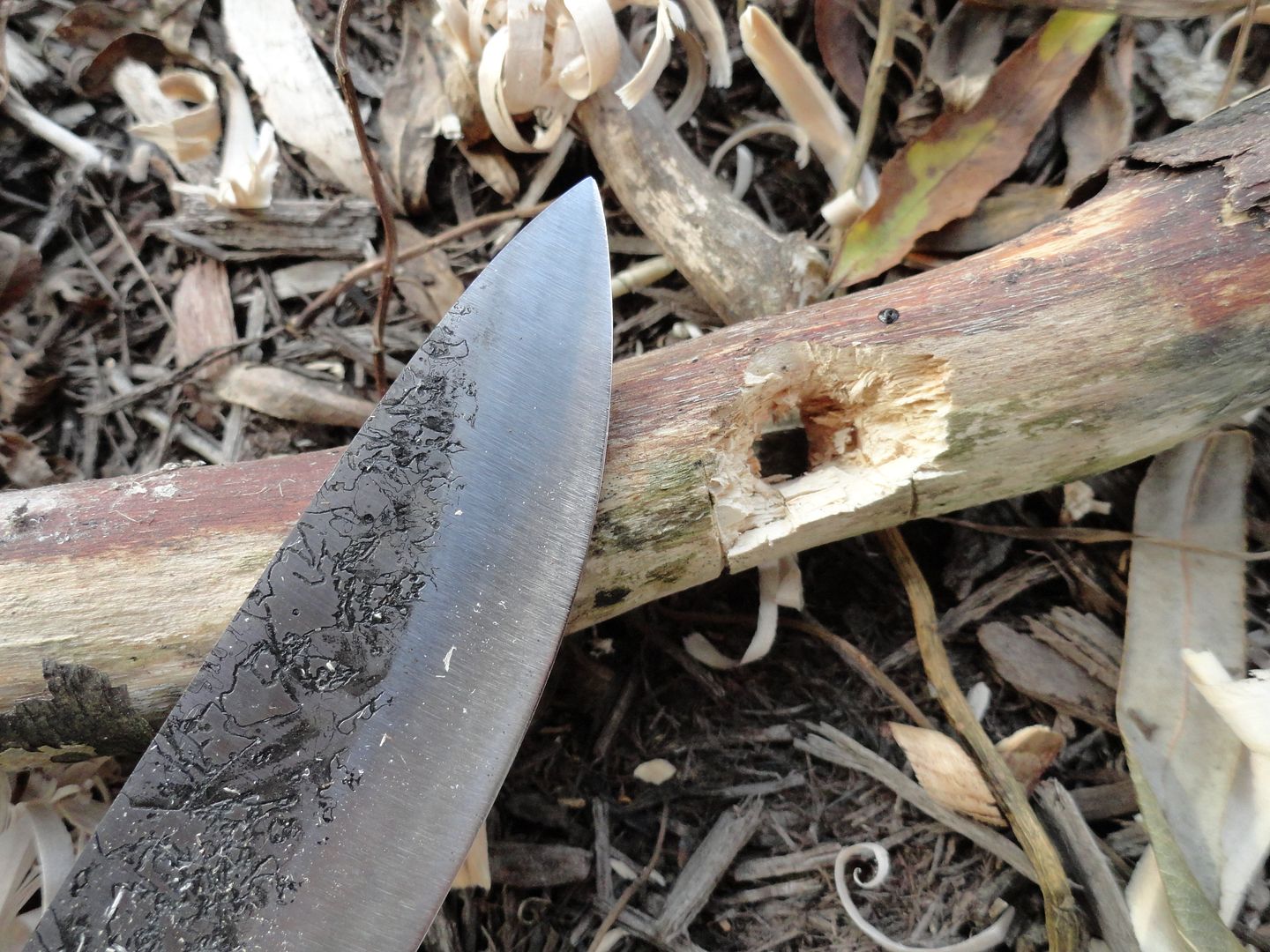 2012_0929PhotosCameraMichael0118.jpg