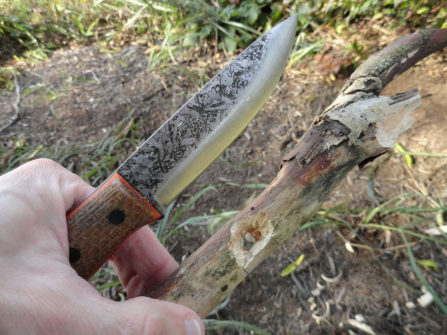 2012_0929PhotosCameraMichael0119.jpg