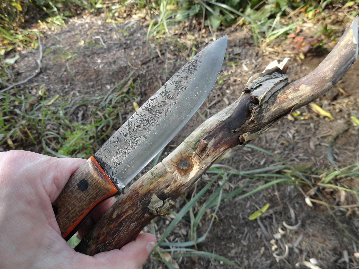 2012_0929PhotosCameraMichael0120.jpg