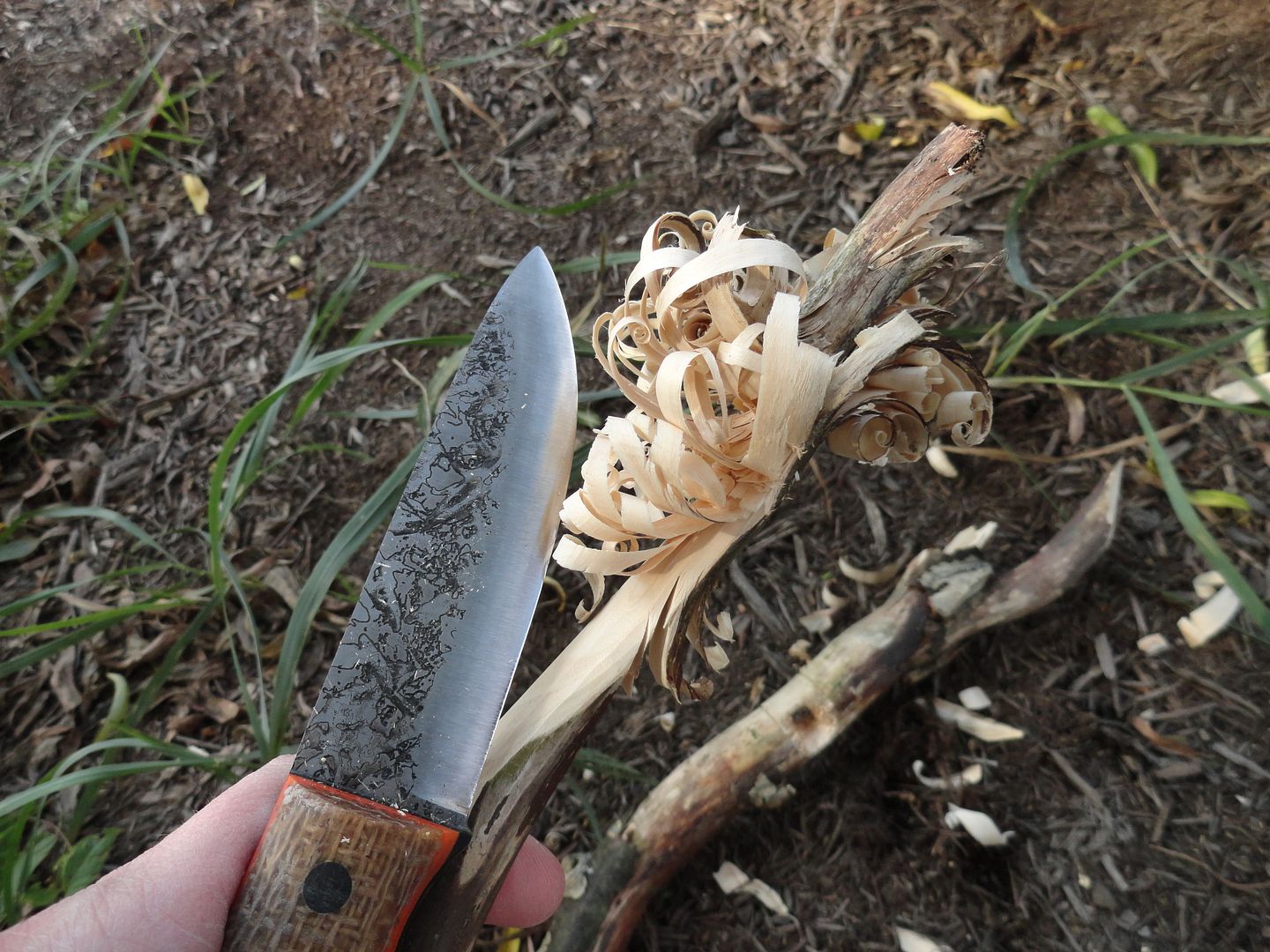 2012_0929PhotosCameraMichael0122.jpg
