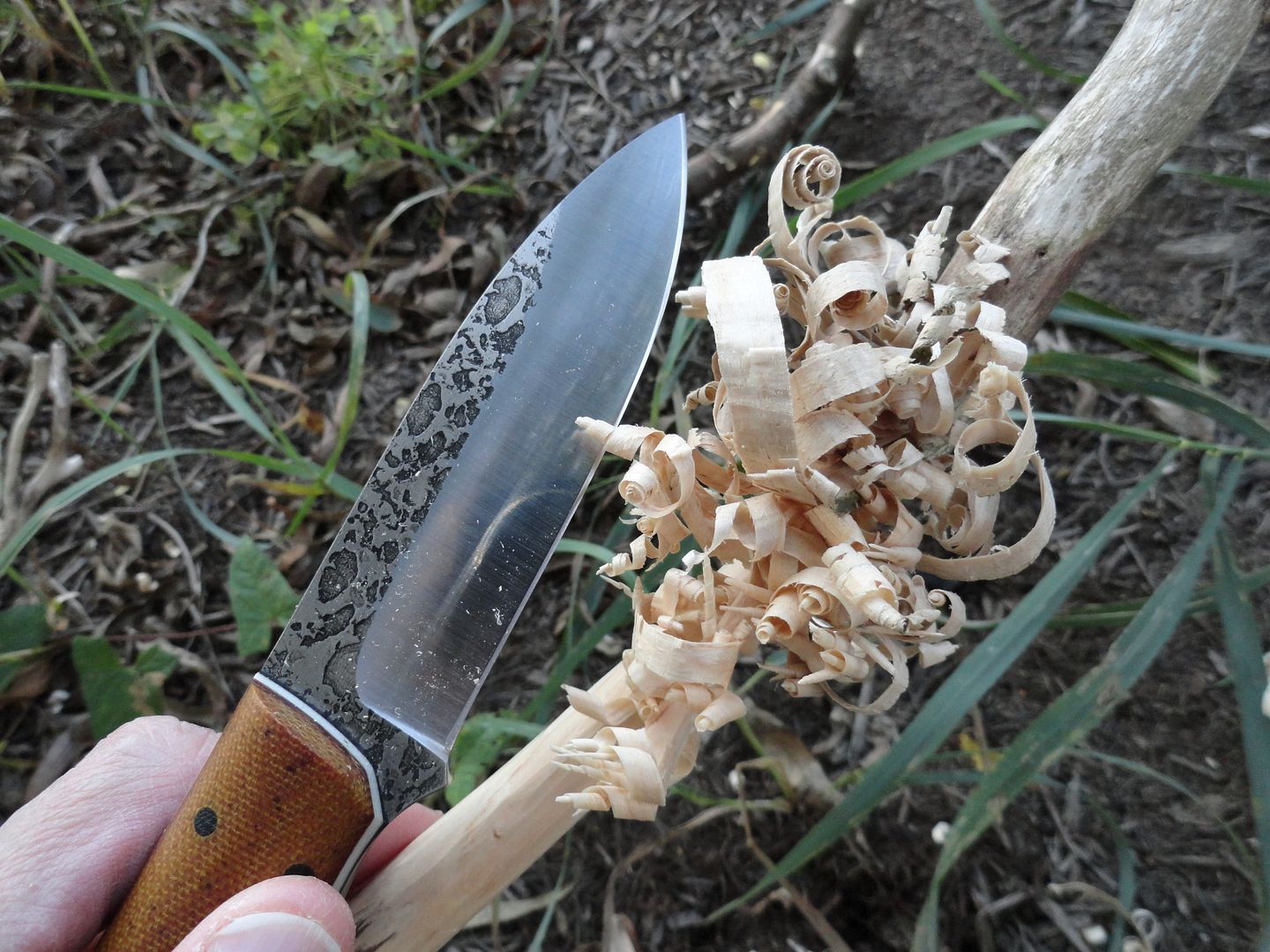 2012_0929PhotosCameraMichael0124.jpg