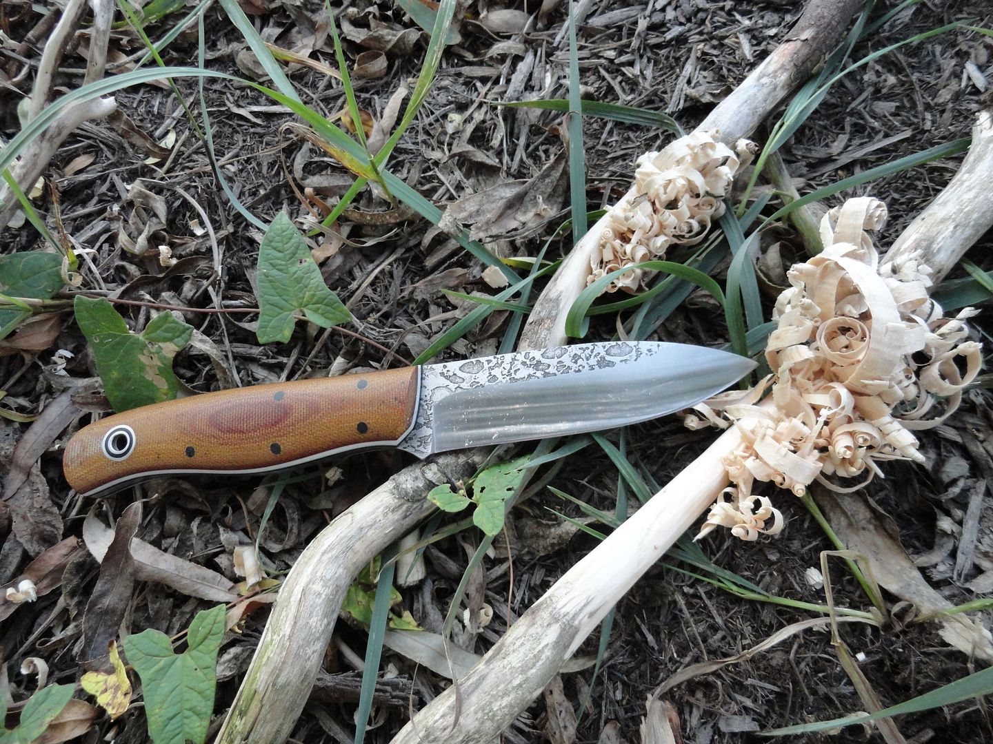 2012_0929PhotosCameraMichael0125.jpg