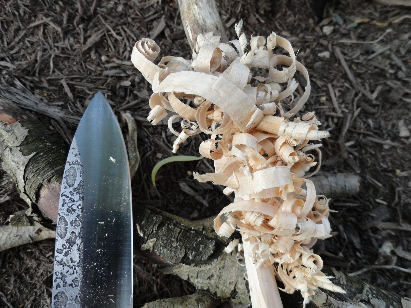 2012_0929PhotosCameraMichael0126.jpg