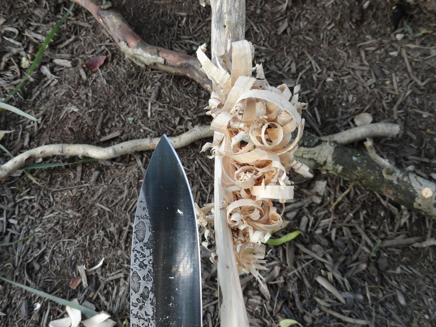 2012_0929PhotosCameraMichael0127.jpg