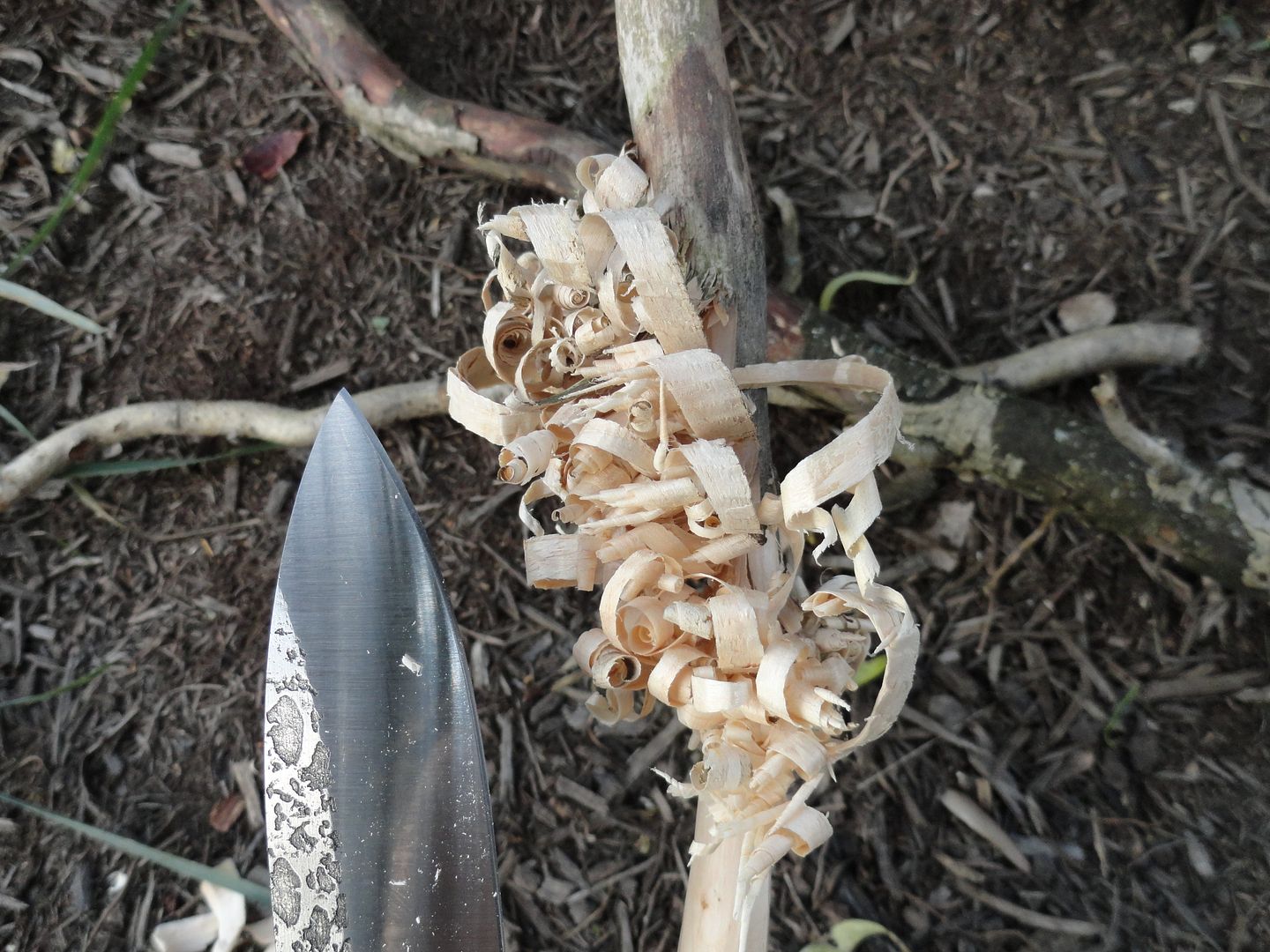 2012_0929PhotosCameraMichael0128.jpg