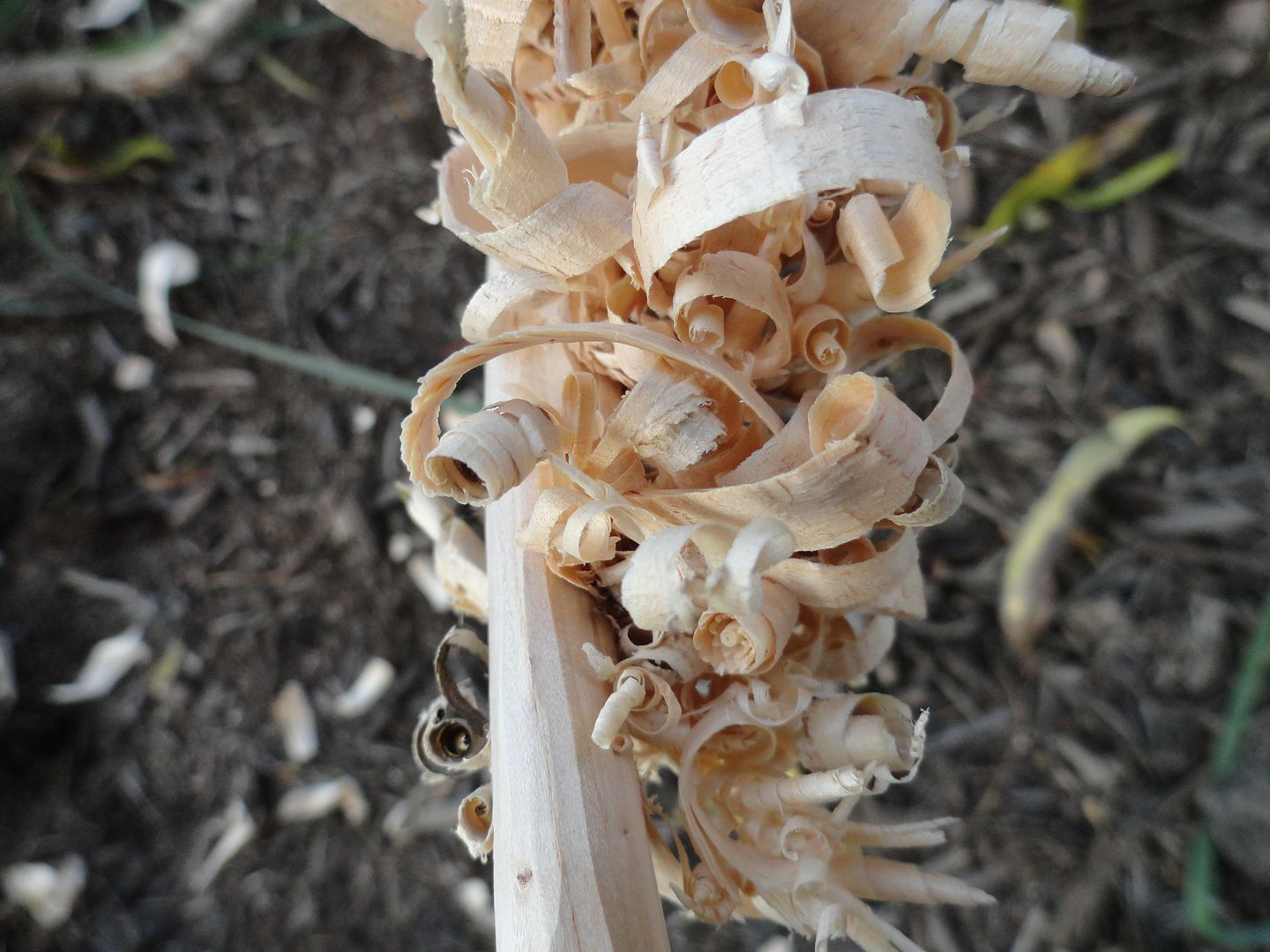 2012_0929PhotosCameraMichael0129.jpg