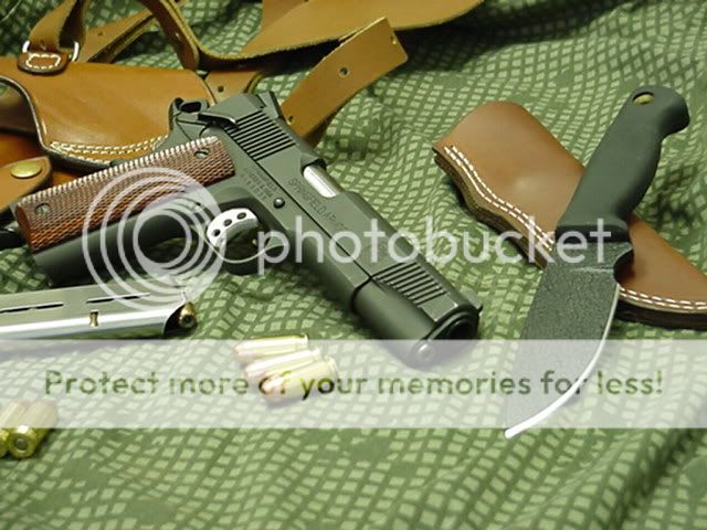 Springfield1911ParkedSWHowlingRat.jpg