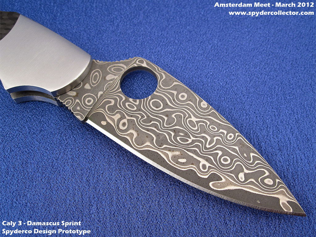 spyderco_amsterdammeet2012_prototype_caly3sprint_blade.jpg